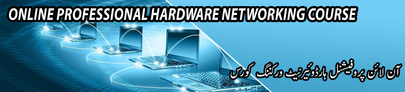 online professional hardware course