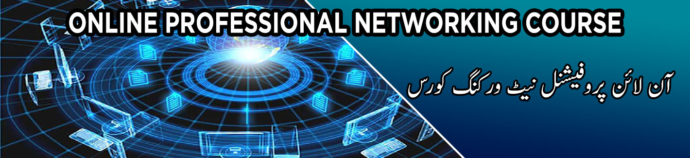 online professional networking technician course