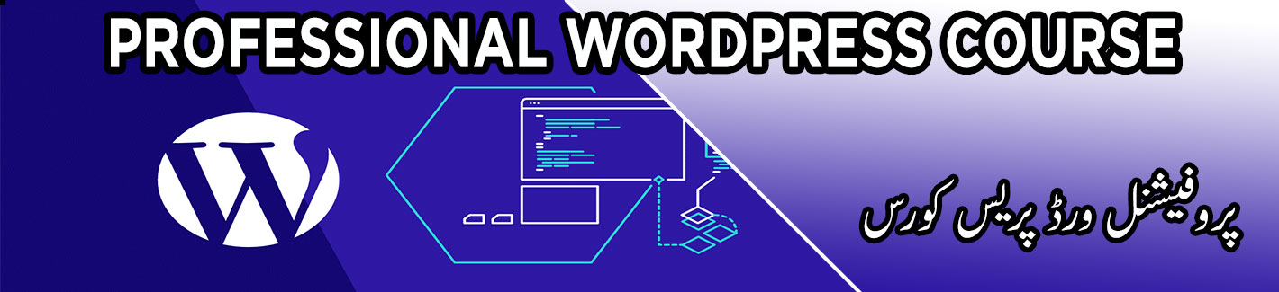 professional wordpress course multan
